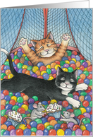 Kiddie Cats Party Invitation (Bud & Tony) card