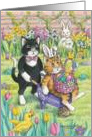 Easter Bunny Cats Invite (Bud & Tony) card