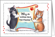 Cat Humor Korny Kitties Birthday Meno’Paws’ (Bud & Tony) card