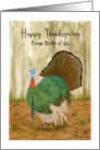 Happy Thanksgiving Couple Turkey Wild Bird Trees Nature Illustration card