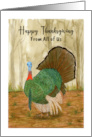 Happy Thanksgiving Group Turkey Wild Bird Trees Nature Illustration card
