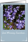 Happy Birthday, Good Morning Sunshine, Purple Flowers card