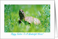 Happy Easter To Niece, Turtle In The Grass card