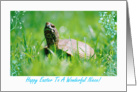 Happy Easter To Niece, Turtle In The Grass card