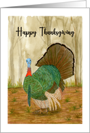 Happy Thanksgiving Turkey Wild Bird Trees Nature Illustration card