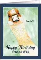 Funny Birthday From Group Surprised Goose How Old Humorous Painting card