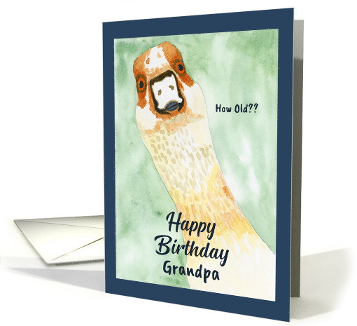 Funny Birthday Grandpa Surprised Goose How Old Humorous... (1890714)