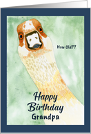 Funny Birthday Grandpa Surprised Goose How Old Humorous Animal Art card