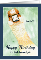 Funny Birthday Great Grandpa Surprised Goose How Old Humorous Animal card