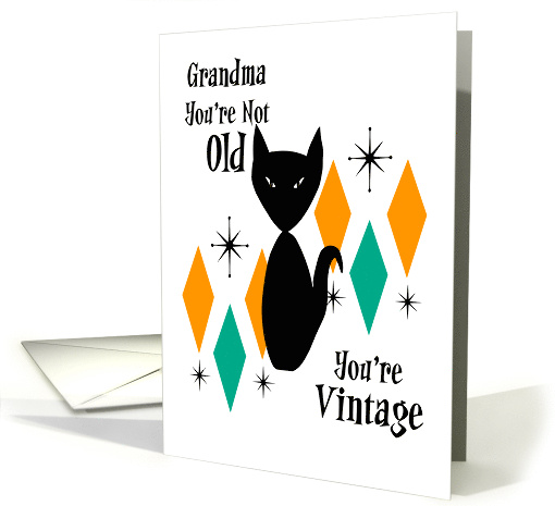 Funny Retro Birthday Grandma You're Not Old You're... (1896134)
