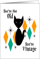 Funny Retro Birthday General You’re Not Old You’re Vintage Cat Stars card