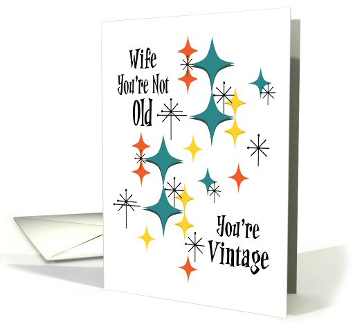 Funny Retro Birthday Wife You're Not Old You're Vintage... (1898026)