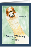 Funny Birthday Cousin Surprised Goose How Old Humorous Animal Bird card