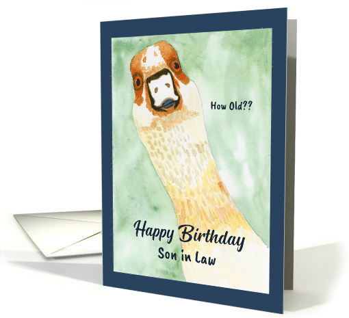 Funny Birthday Son in Law Surprised Goose How Old Humorous Bird card