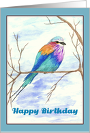 Happy Birthday General Lilac Breasted Roller Bird on Branch Watercolor card