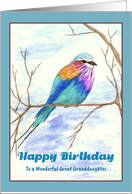 Happy Birthday Great Granddaughter Lilac Breasted Roller Bird Branch card