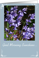 Happy Birthday, Good Morning Sunshine, Purple Flowers card