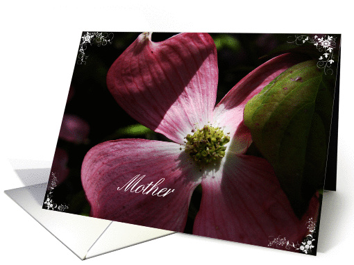 Mother's Day - Pink Dogwood Blossom card (368950)