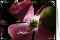 Mother's Day - Pink...