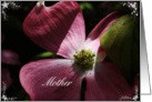 Mother’s Day - Pink Dogwood Blossom card