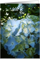 Flower Girl Request - Hydrangea Flower card