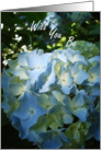Flower Girl Request - Hydrangea Flower card