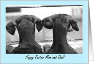 Happy Easter To Parents #3 - Dachshunds card