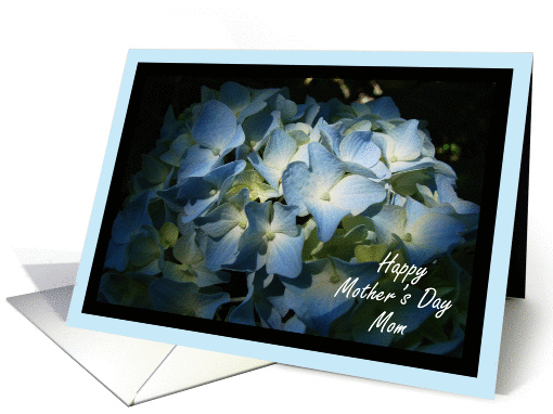 Mom - Happy Mother's Day card (386621)