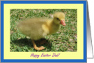 Dad Happy Easter - Duckling card