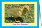 Grandparents Happy Easter - Duckling card