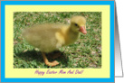 Mom And Dad Happy Easter - Duckling card