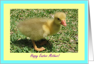 Mother Happy Easter - Duckling card