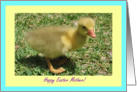 Mother Happy Easter - Duckling card