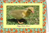 Niece Happy Easter - Duckling card