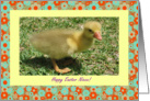 Niece Happy Easter - Duckling card