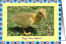 Nephew Happy Easter - Duckling card