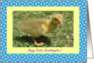 Granddaughter Happy Easter - Duckling card