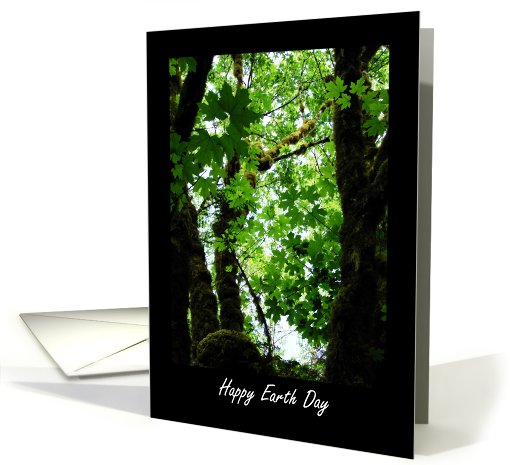 Happy Earth Day - Forest card (402455)
