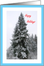 Happy Holidays Snow In Evergreen Trees card