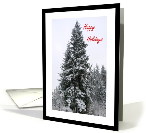 Happy Holidays Snow In Evergreen Trees card (487952)