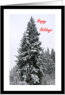 Happy Holidays Snow In Evergreen Trees card
