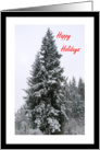 Happy Holidays Snow In Evergreen Trees card
