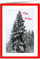 Happy Holidays Snow In Evergreen Trees card