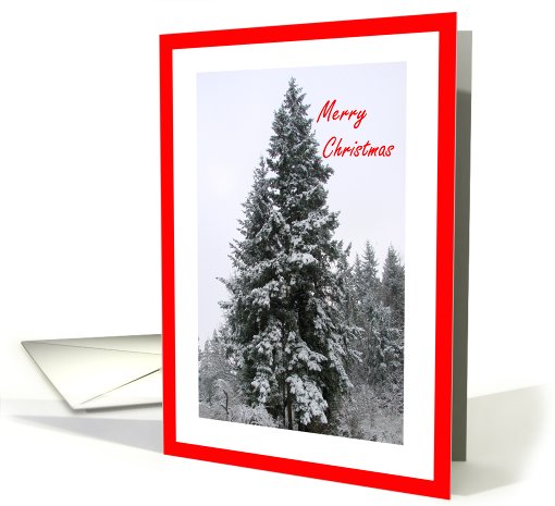 Merry Christmas Snow In Evergreen Trees card (487960)