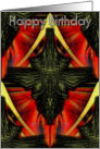 Insect card