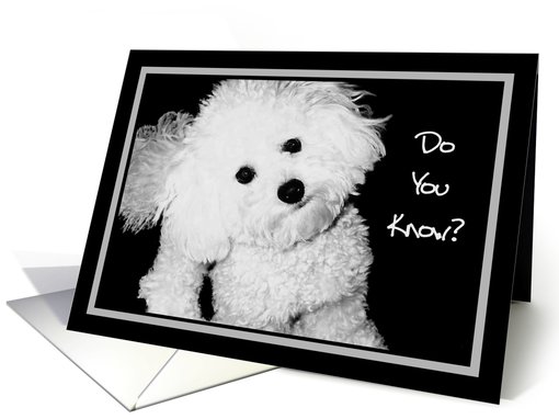 Do You Know? - Beemer & Tucker Care Notes
 card (383665)