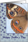 Happy Father’s Day Buckeye Butterfly card