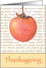 Persimmon Thanksgiving card