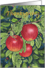 Thanksgiving Apples card