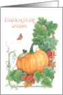 Thanksgiving Wishes with Pilgrim Frog and Butterfly card